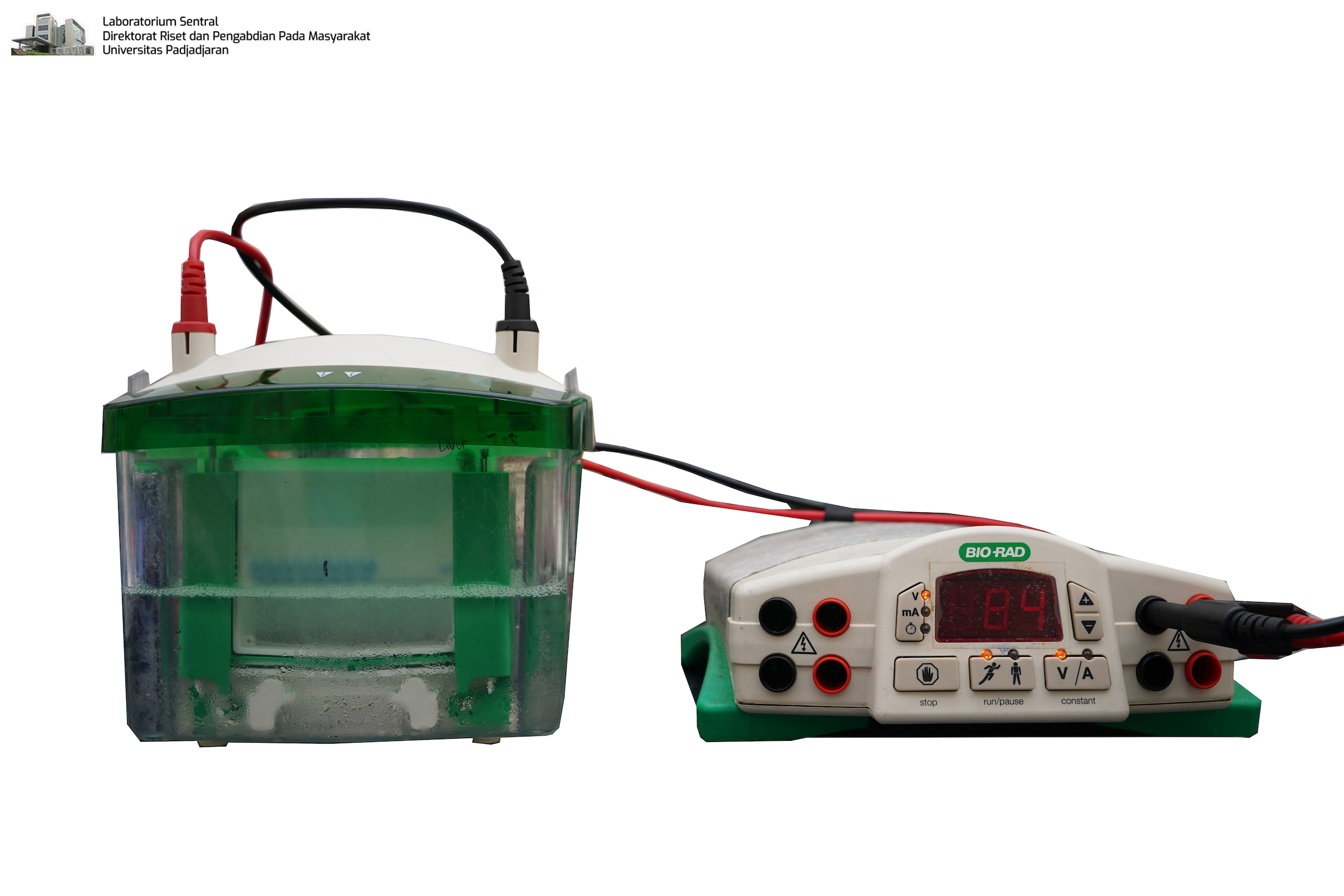 Vertical Gel Electrophoresis Unit