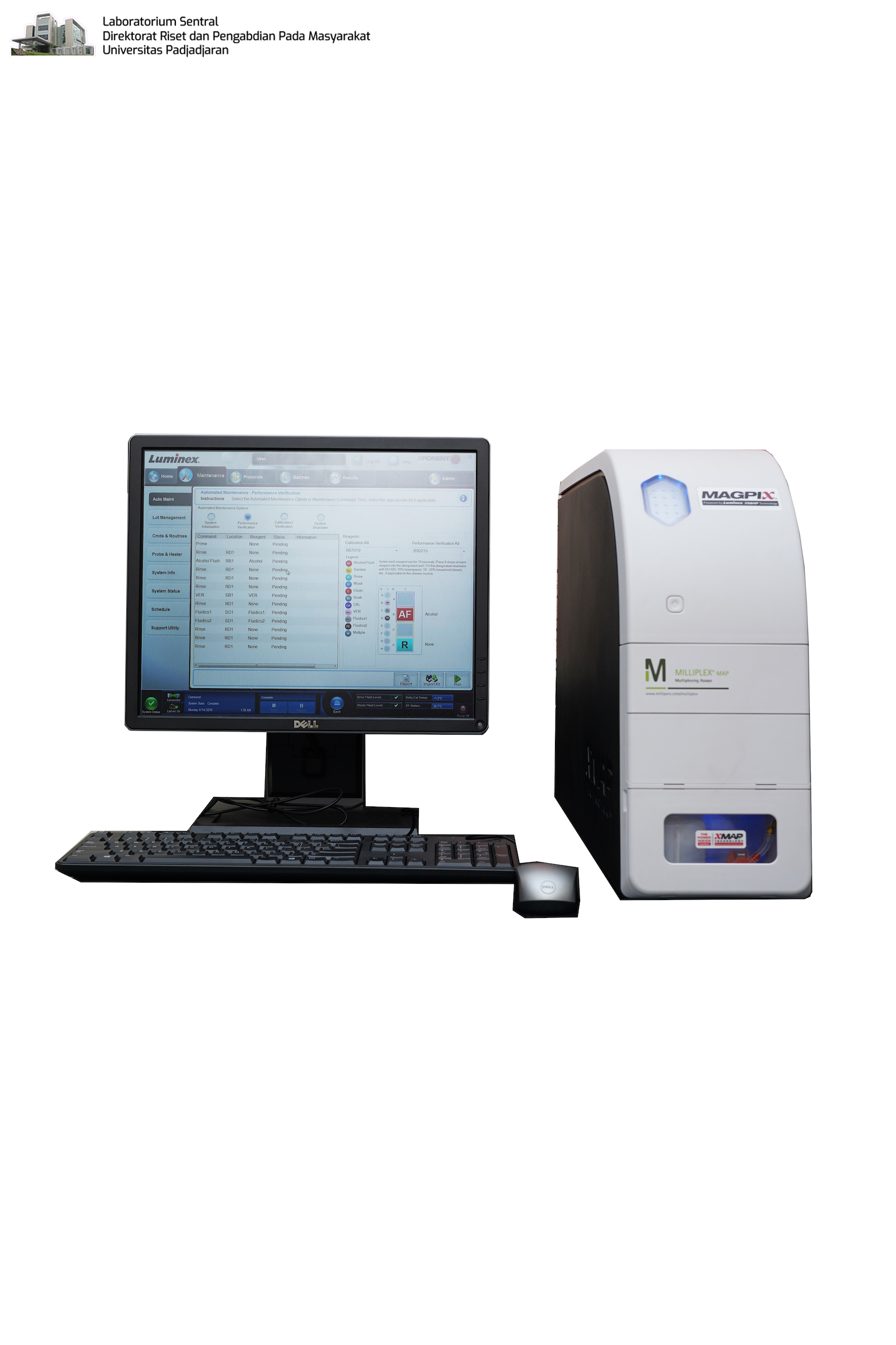 Milliplex MAP Multiplexing Assays