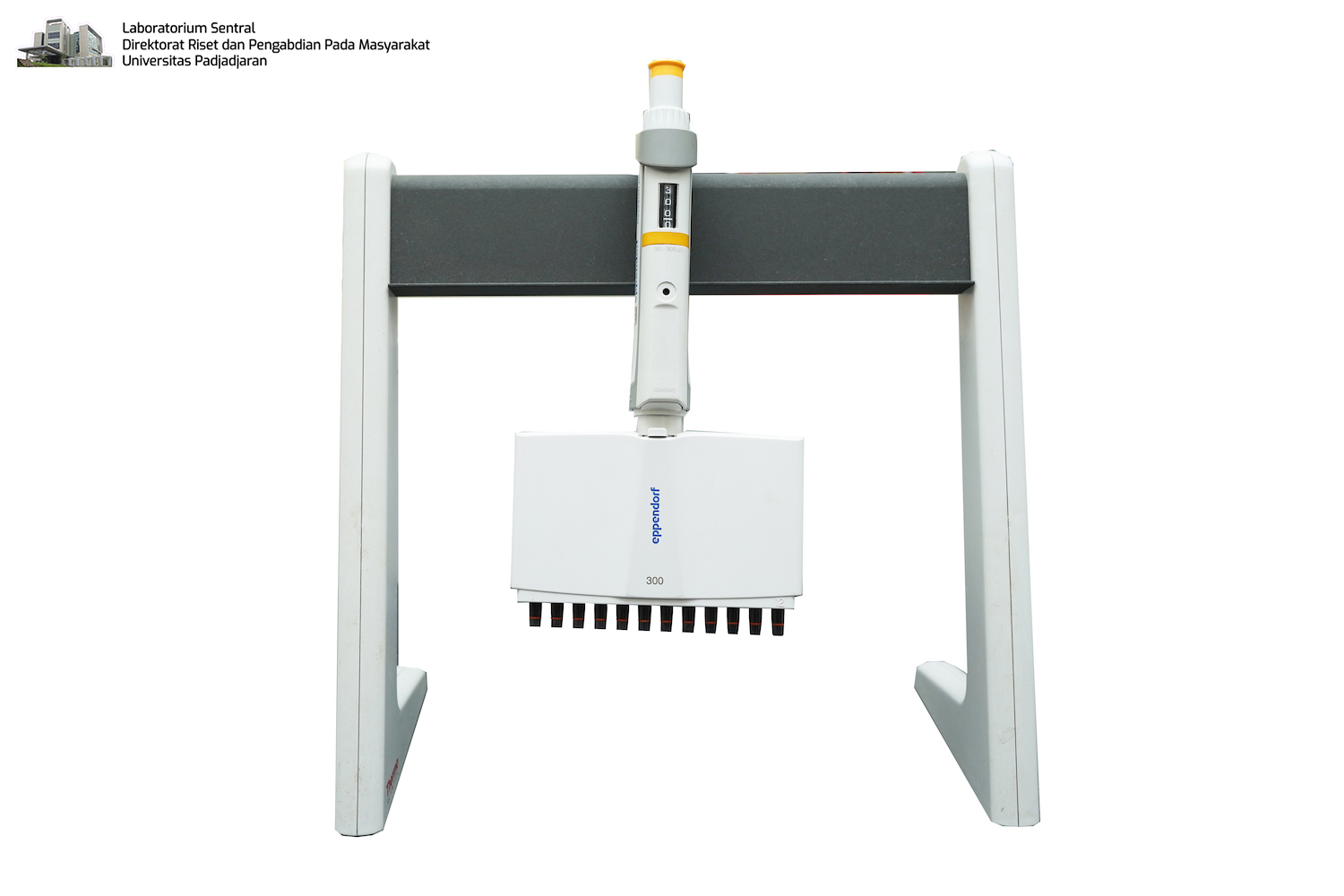 Micropipette 12 Channel