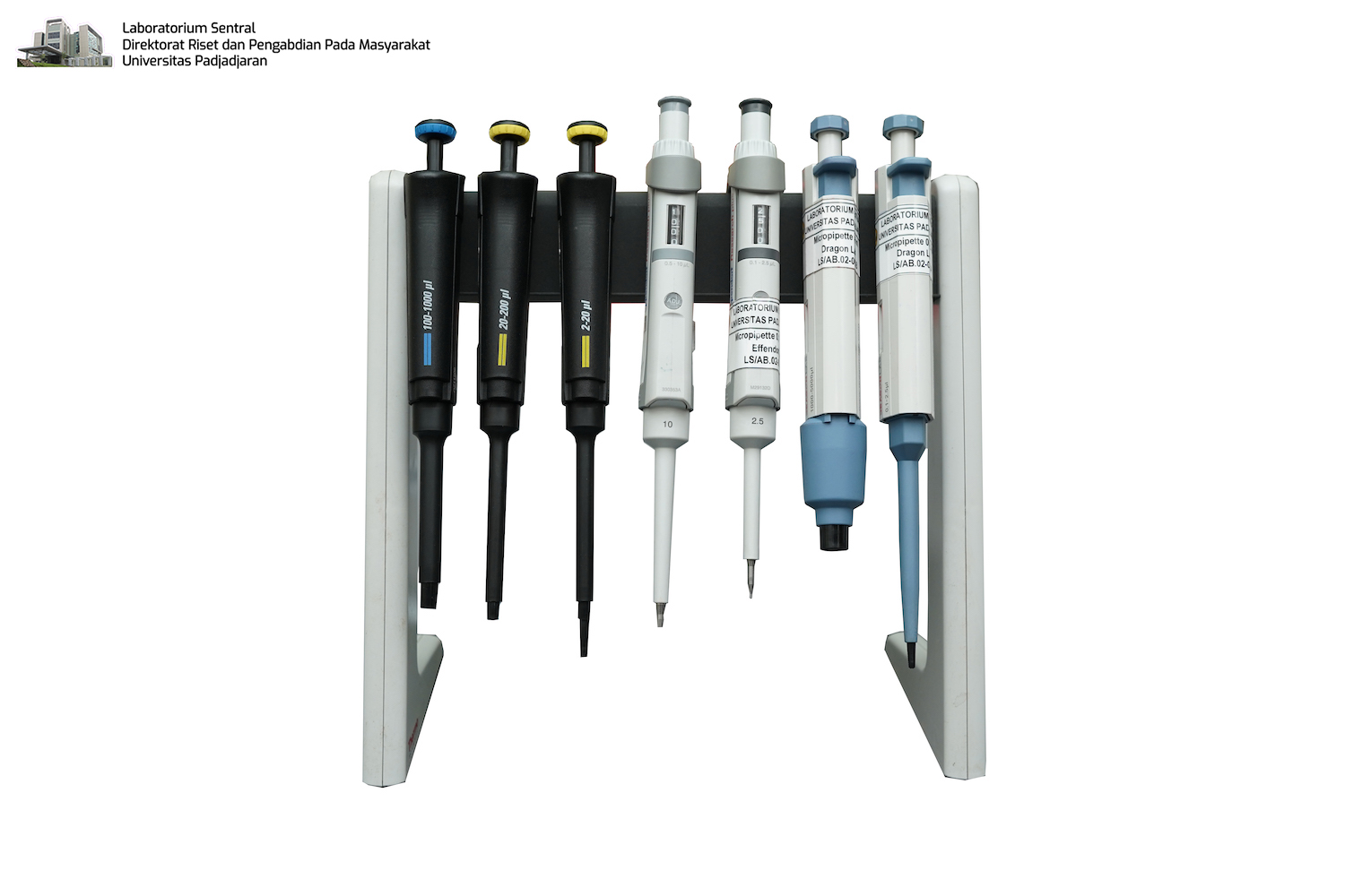 Micropipette